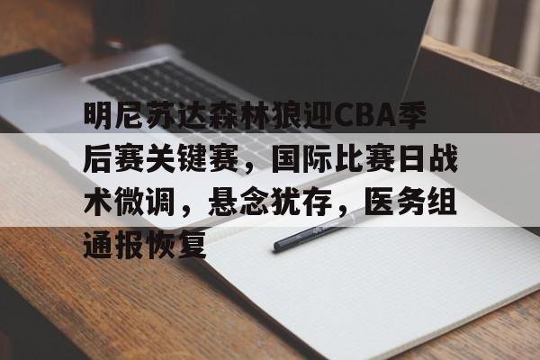 包含明尼苏达森林狼迎CBA季后赛关键赛，国际比赛日战术微调，悬念犹存，医务组通报恢复的词条-MK体育中国官网